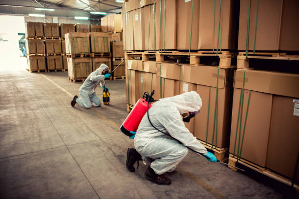 Best Affordable Pest Control Services  in Colona, IL