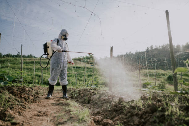 Best Affordable Pest Control Services  in Colona, IL