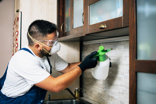 Best Local Pest Control Services  in Colona, IL
