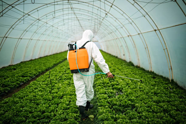 Best Mosquito Control Services  in Colona, IL