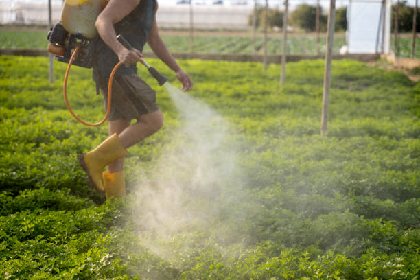 Best Mosquito Control Services  in Colona, IL