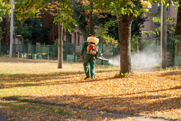 Best Pest Control for Homes  in Colona, IL