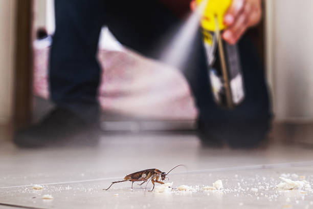 Best Emergency Pest Control  in Colona, IL