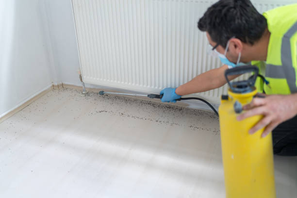 Best Residential Pest Control  in Colona, IL